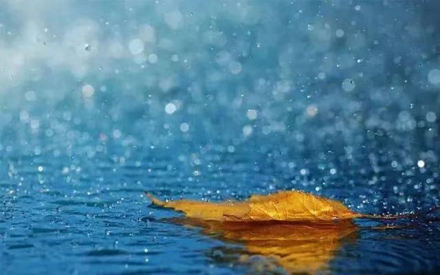 今日雨水，这个节气有多美？都在诗词里！