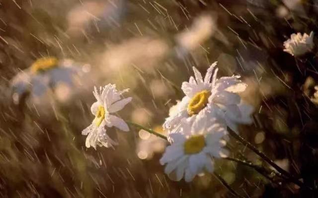 今日雨水，这个节气有多美？都在诗词里！