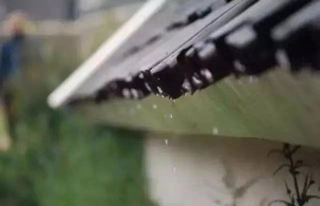 今日雨水，这个节气有多美？都在诗词里！