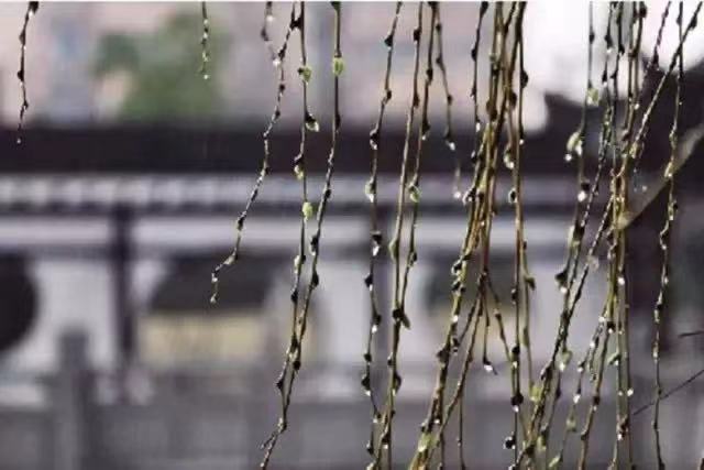 今日雨水，这个节气有多美？都在诗词里！