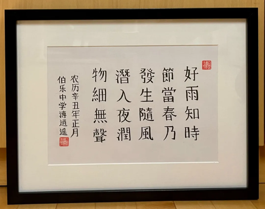 “春天正在路上”——记德国伯乐高级文理中学师生收到彭丽媛致信