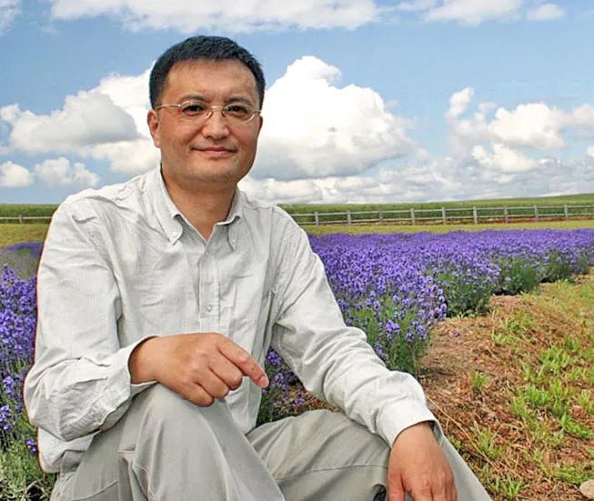 我在台湾讲真实的新疆，果不其