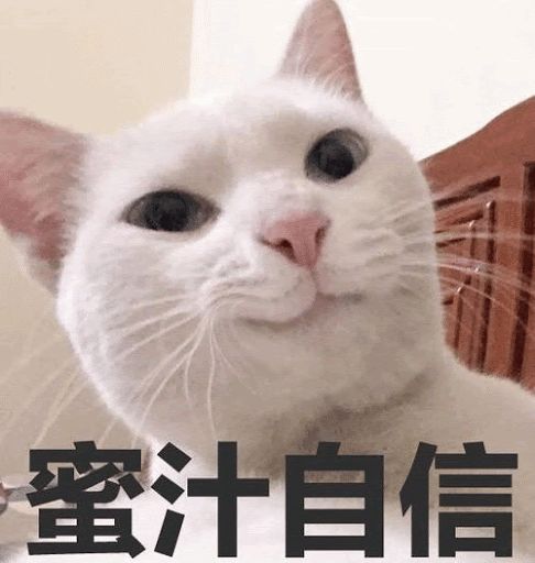 我在台湾讲真实的新疆，果不其