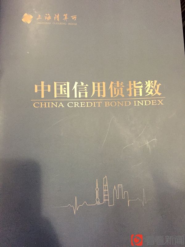 中國信用債指數(shù)正式推出  助推企業(yè)降低融資成本