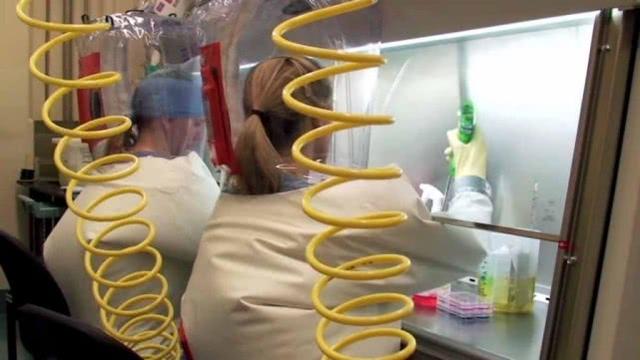 科学家在蝙蝠上新发现6种冠状病毒，其粪便或为重要传播途径