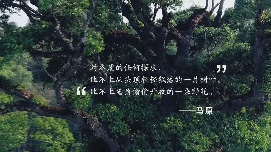 纪录片《文学的日常》：这才是“向往的生活”