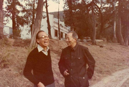礼赞大师|陈从周：以园林为引，勃发中国传统文化之美