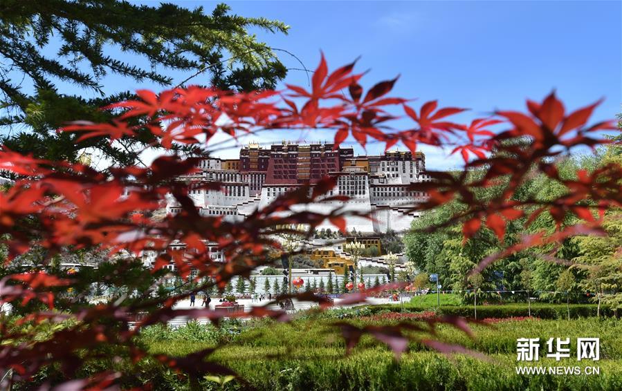 世界文化遗产布达拉宫、罗布林卡3日恢复对外开放