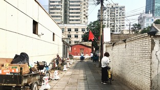 【职场微体验】北京晨陽