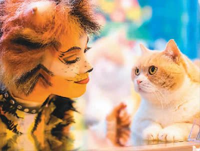音乐剧《猫》演员玩转维港