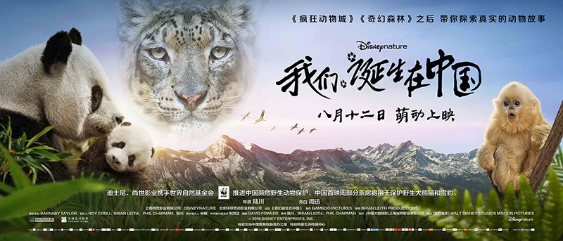 图片默认标题