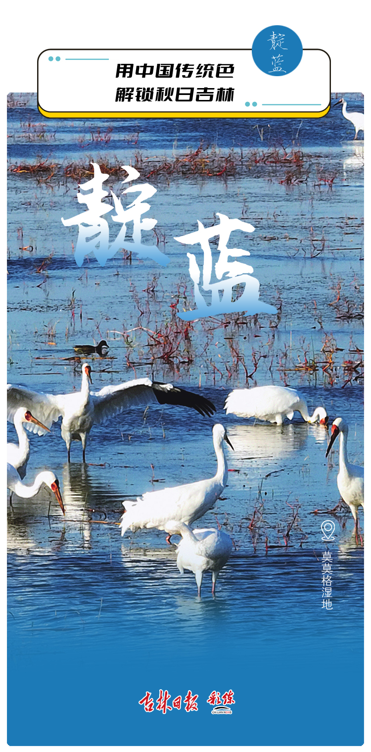 绝美！用中国传统色解锁秋日里的吉林