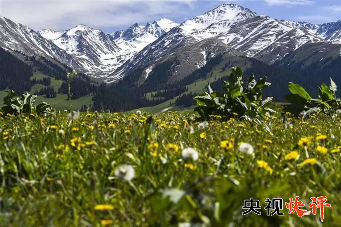 央视快评：团结稳定是新疆繁荣发展之基