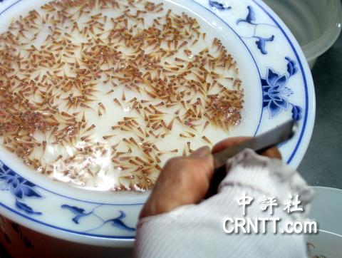 屏东鱼苗场老板吴健成：经济没倒退就不错了