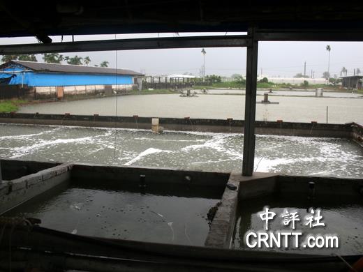 屏东鱼苗场老板吴健成：经济没倒退就不错了