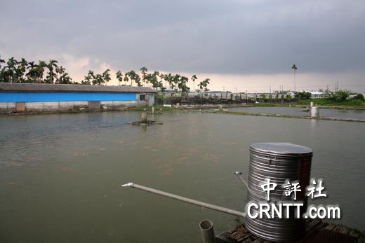 屏东鱼苗场老板吴健成：经济没倒退就不错了