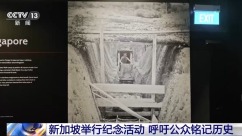 新加坡举行纪念活动 呼吁公众铭记历史