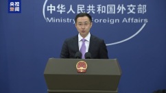 外交部：中方愿同印尼遵循两国元首的战略引领 办好两大机制会议