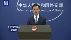 外交部：菲律宾公布的所谓“新版海图”非法、无效