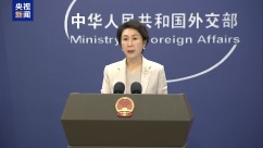 外交部：中国海警船在中国领海巡航执法正当合法 天经地义