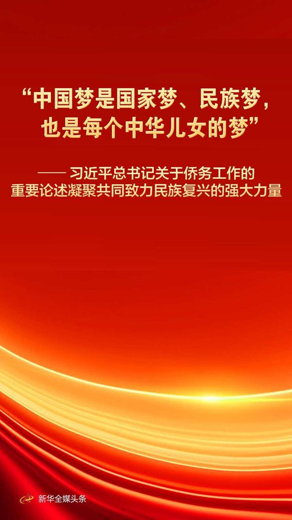 习近平总书记重要论述凝聚共同致力民族复兴强大力量