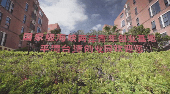 台青在平潭：相隔68海里，我的另一个家