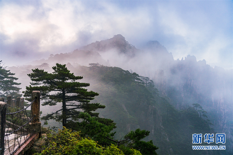 秋日黄山 云蒸霞蔚