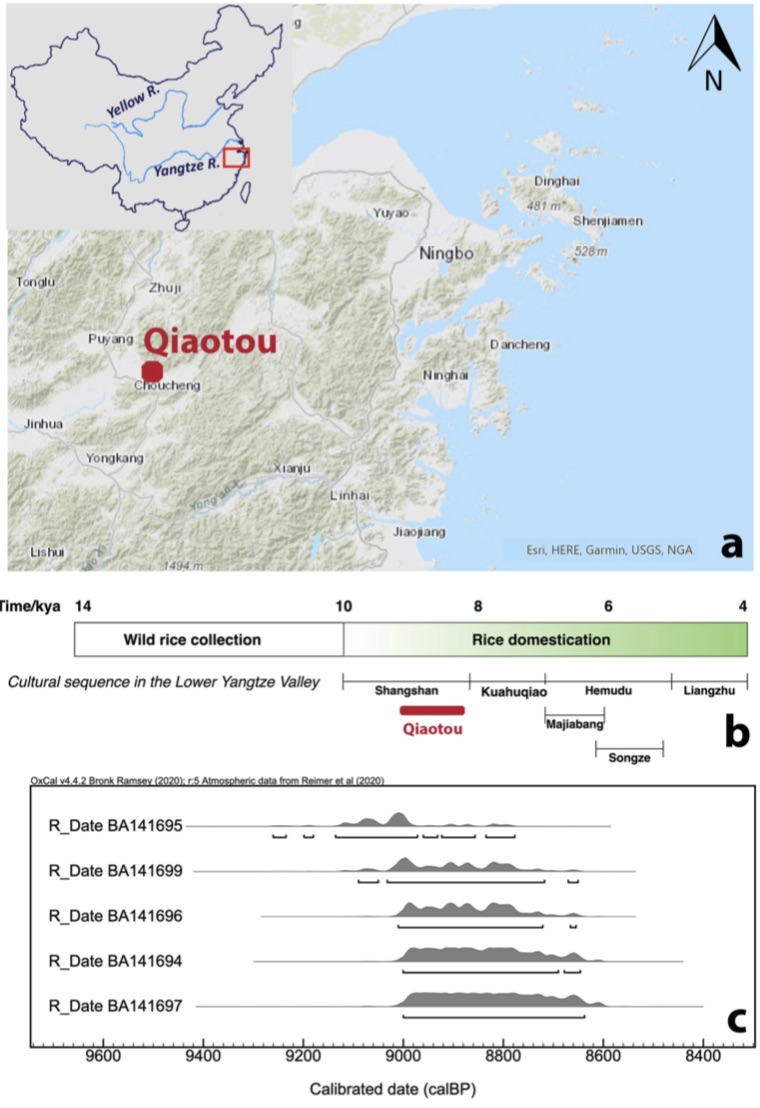 中国考古学家在桥头遗址中发现9000年前南方人喝啤酒证据