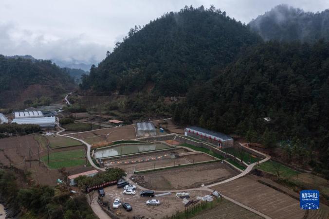 3月17日，空中俯瞰陳萍梅承包的位于清涼峰鎮(zhèn)頰口村的家庭農(nóng)場（無人機(jī)照片）。陳萍梅承包了100余畝土地種植無公害的瓜果蔬菜，同時還開展農(nóng)事體驗(yàn)和鄉(xiāng)村旅游。

新華社記者 徐昱 攝