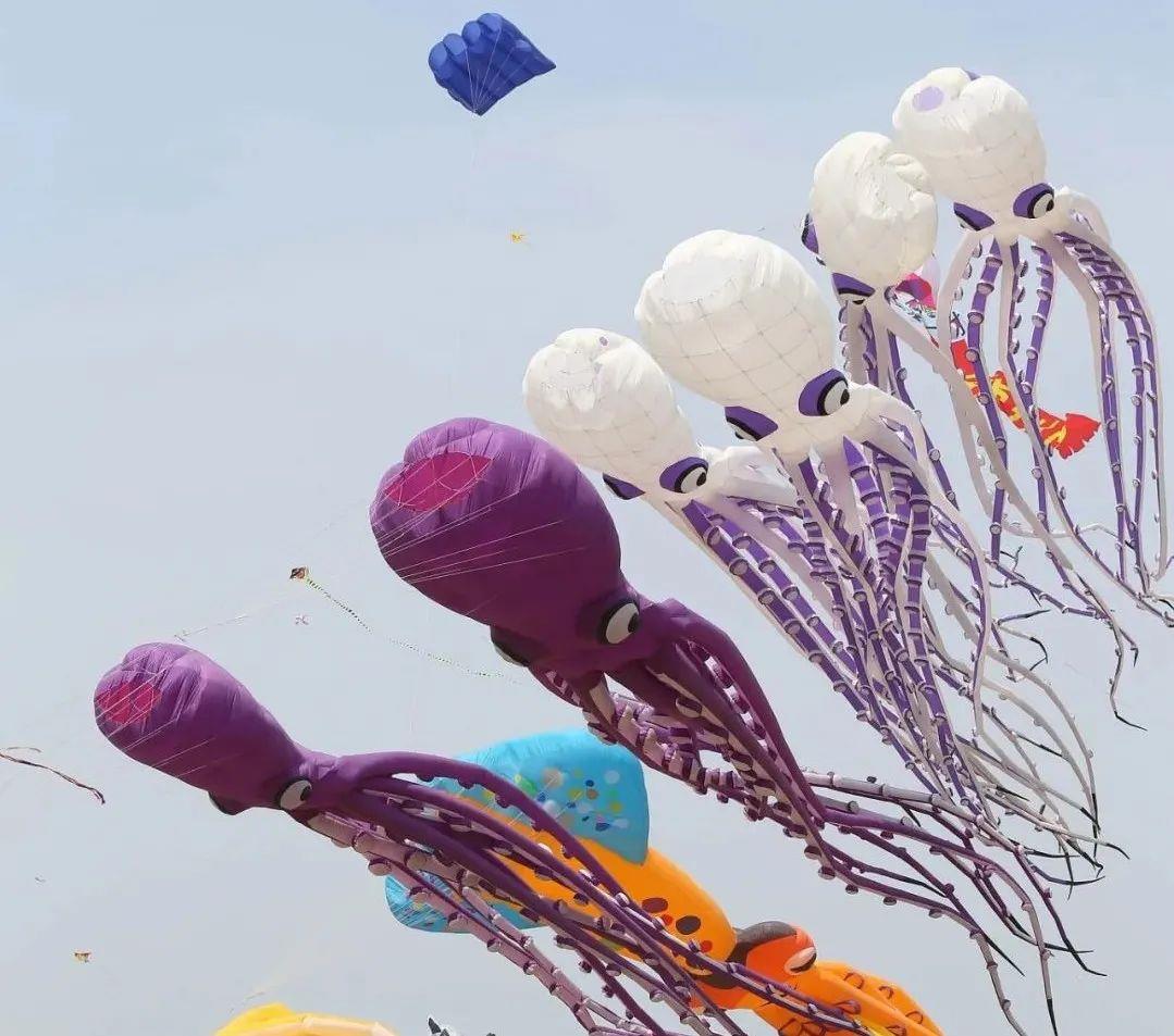 潍坊风筝花式整活 万物皆可“上天”！