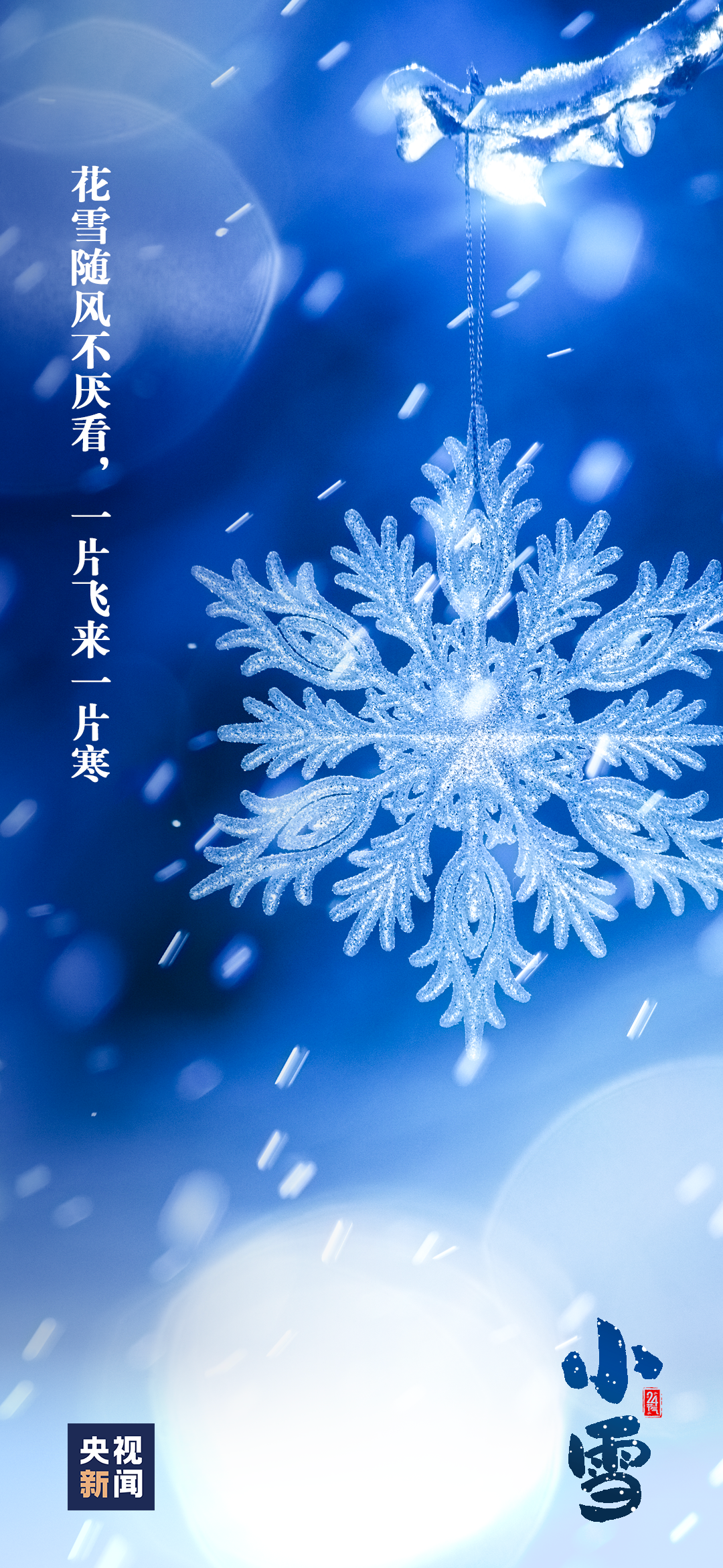 今日，小雪