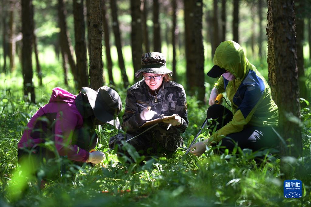 为了万物和谐的美丽家园——习近平生态文明思想的世界启示