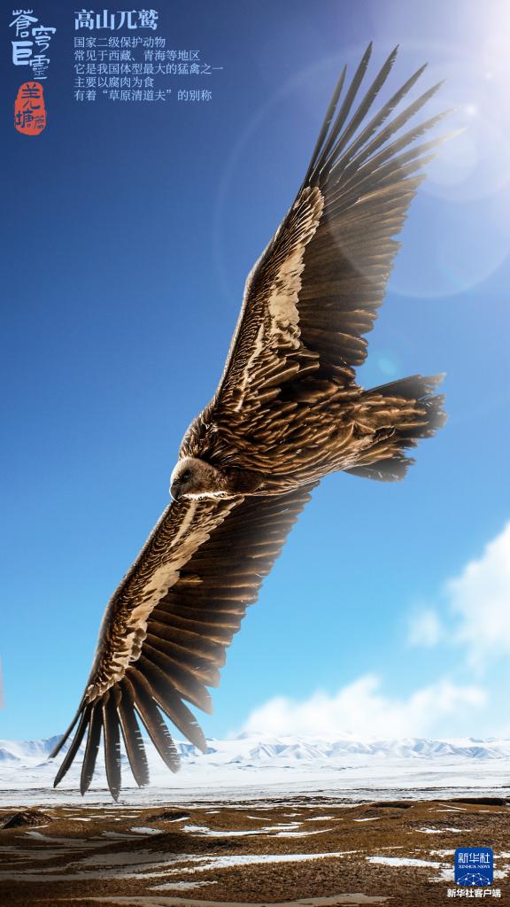 苍穹巨灵·羌塘篇 苍穹巨灵·羌塘篇