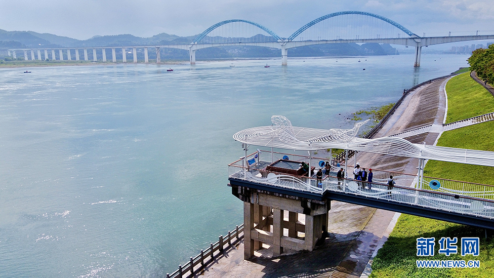 油庫(kù)碼頭“搬家”，讓江豚“回家”