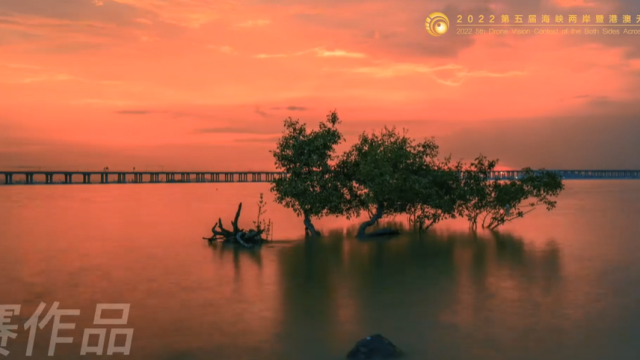 第五届海峡两岸暨港澳无人机航拍创作大赛｜最佳云台手作品：《圳青春》_fororder_80260a0e143d7b73668a654c863f866