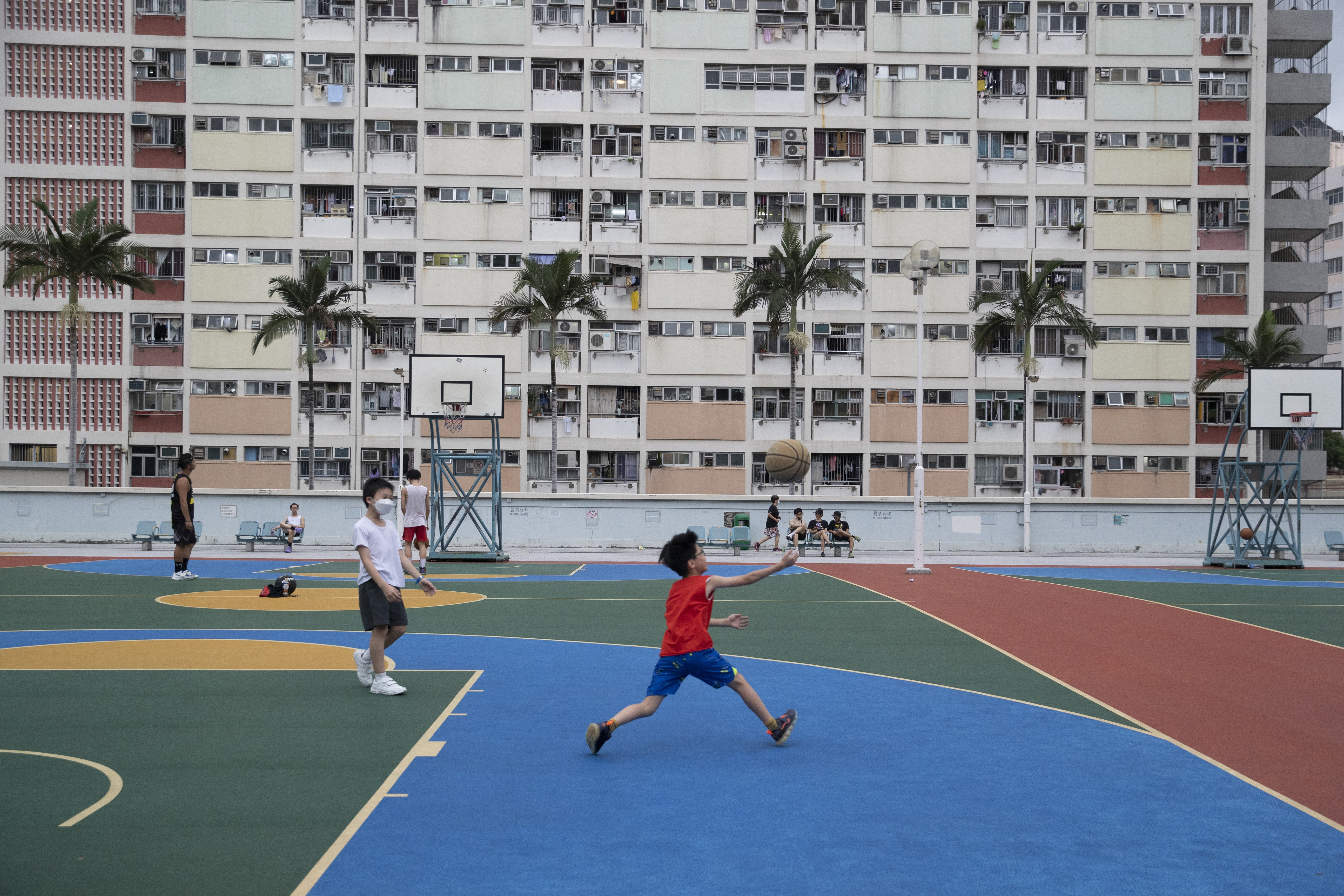 光影十年绘新篇丨紫荆花开绽芳华 光影十年绘新篇丨紫荆花开绽芳华