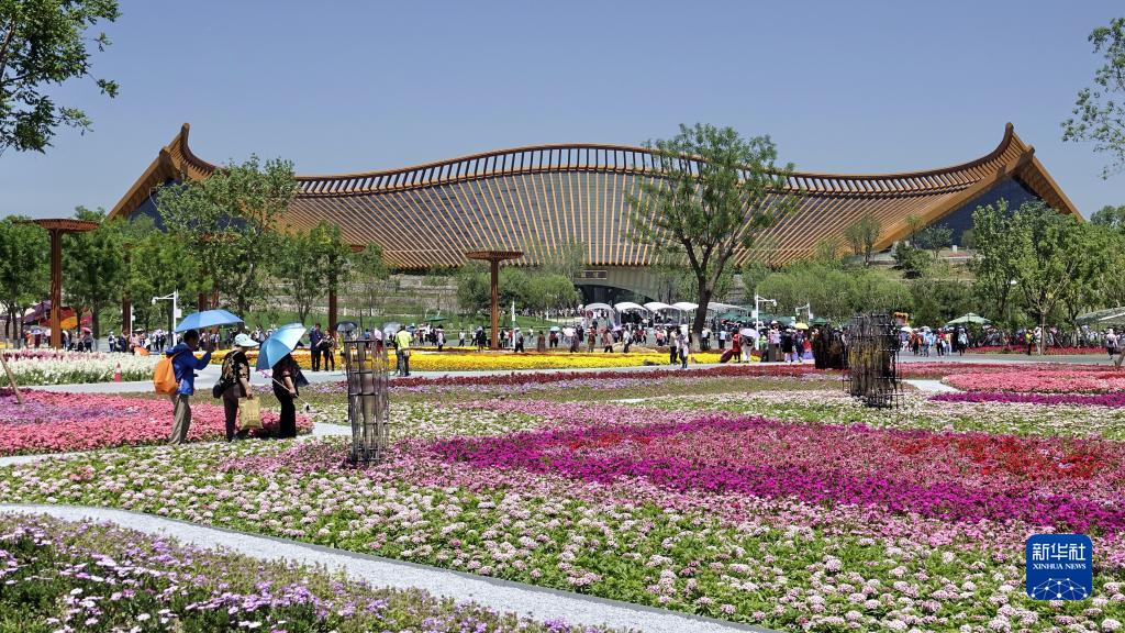 为了万物和谐的美丽家园——习近平生态文明思想的世界启示