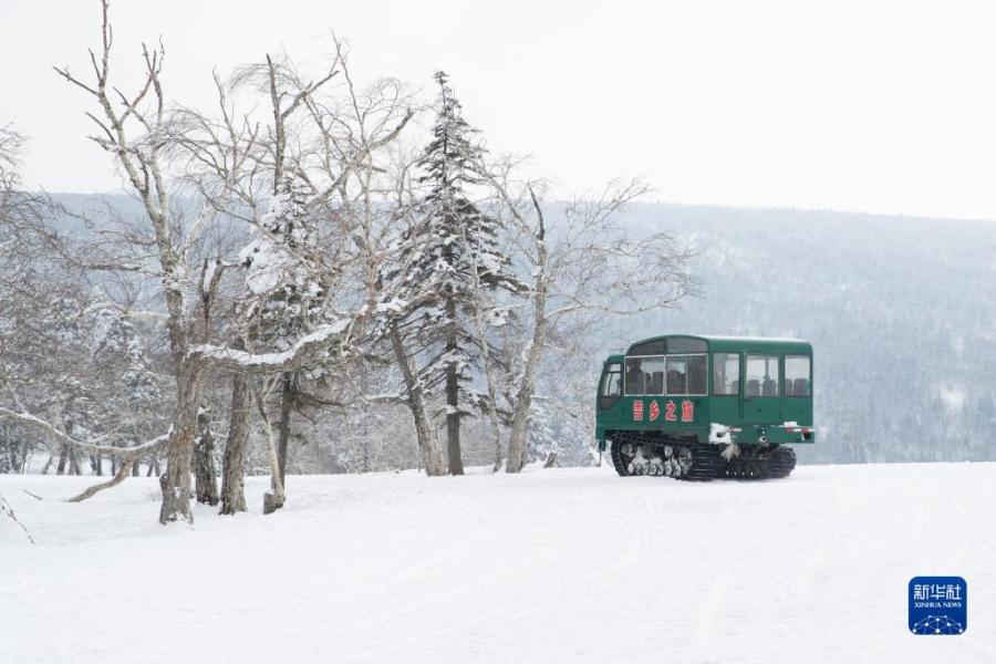 2月5日，游客乘車在“冰雪畫廊”游玩。