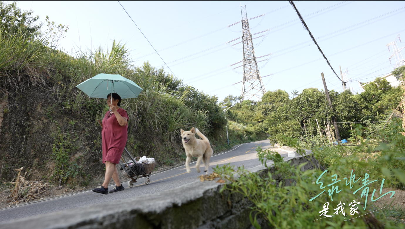 “壩頭第一村”的長江保衛(wèi)戰(zhàn)