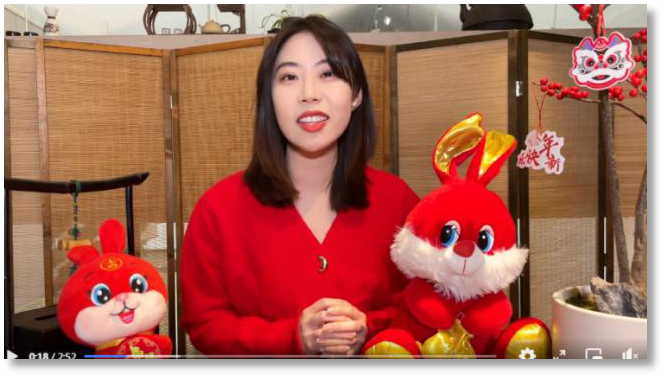 超162亿人次！总台春晚热四海，全球共享中国年！