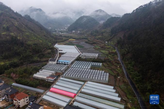 3月17日，空中俯瞰杭州市臨安區(qū)清涼峰鎮(zhèn)的九都村蔬菜基地（無人機(jī)照片）。

新華社記者 徐昱 攝