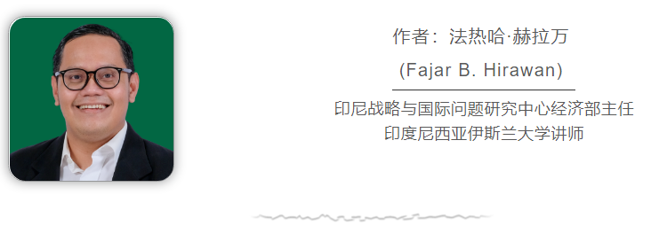 印尼专家：十年全面战略伙伴关系见证中印尼深厚友谊