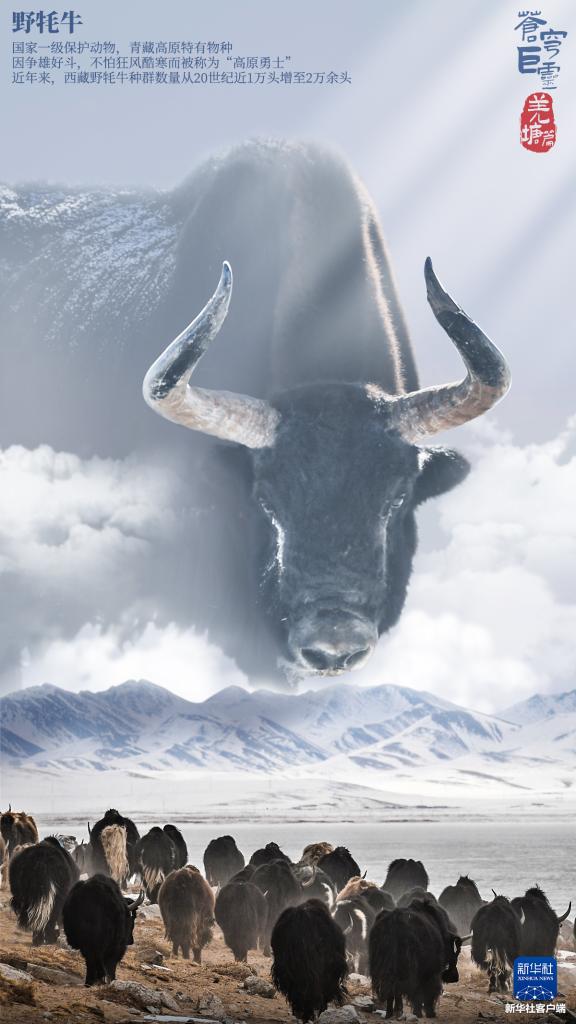 苍穹巨灵·羌塘篇 苍穹巨灵·羌塘篇