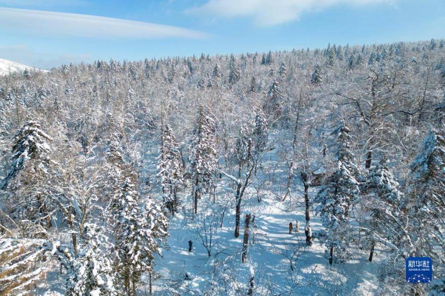 2月5日，游客在“冰雪畫廊”游玩（無人機(jī)照片）。