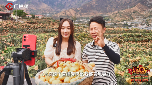 台青寻宝秀：黄金树上黄金果 直播助农欢乐多_fororder_ed1cb56a4678b065eee36eb0f017cd8