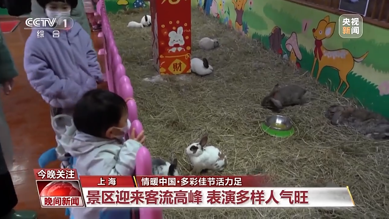 逛廟會、品民俗!多彩佳節活力足 逛廟會、品民俗!多彩佳節活力足