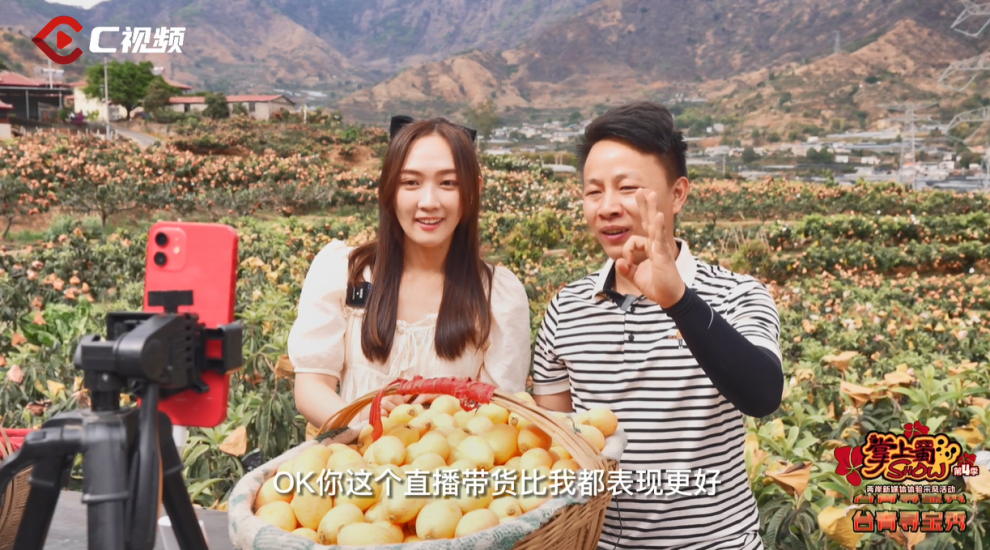 台青寻宝秀：黄金树上黄金果 直播助农欢乐多