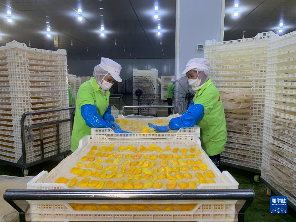 携手建设更加美好的世界——写在习近平主席提出构建人类命运共同体理念十周年之际 携手建设更加美好的世界——写在习近平主席提出构建人类命运共同体理念十周年之际