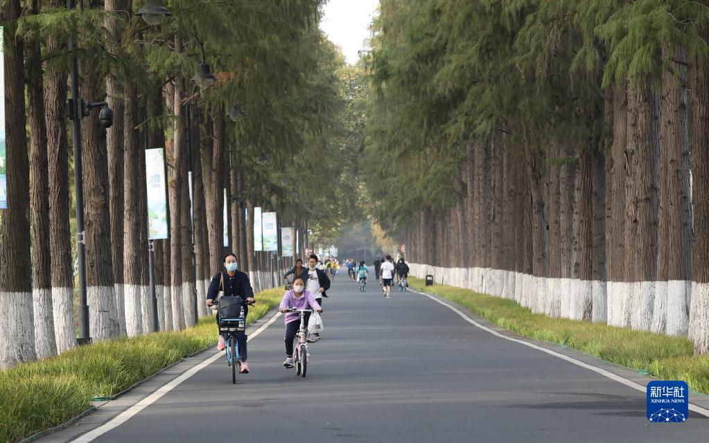 從濕地之美見(jiàn)證中國(guó)生態(tài)“密碼”啟迪世界