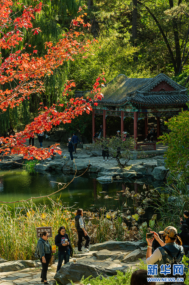 邂逅北京香山公园之秋